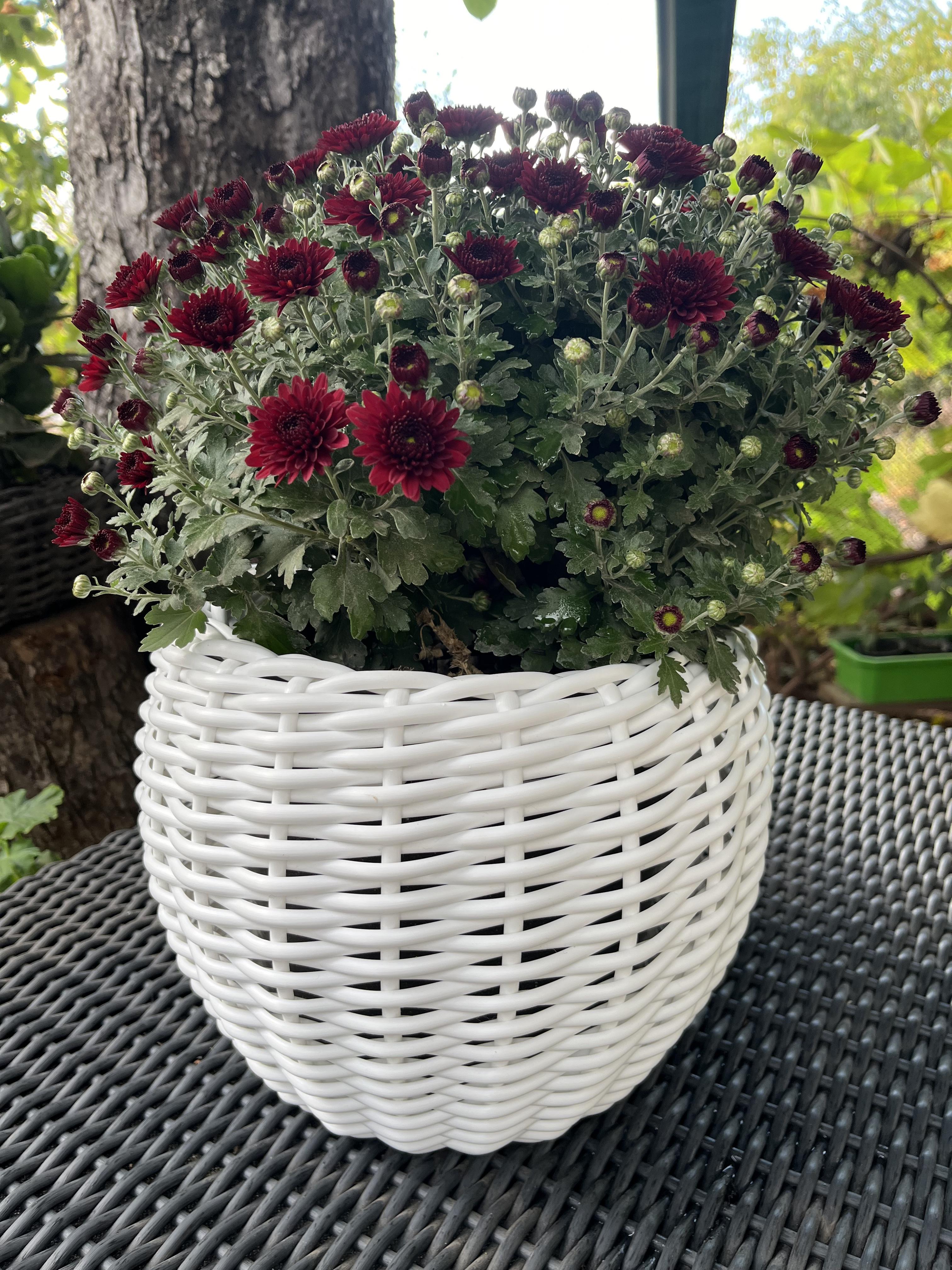 Кашпо для цветов из искусственного ротанга 5 л Белый (27922878) - фото 2 Кашпо для цветов из искусственного ротанга 5 л Белый (27922878) - фото 2