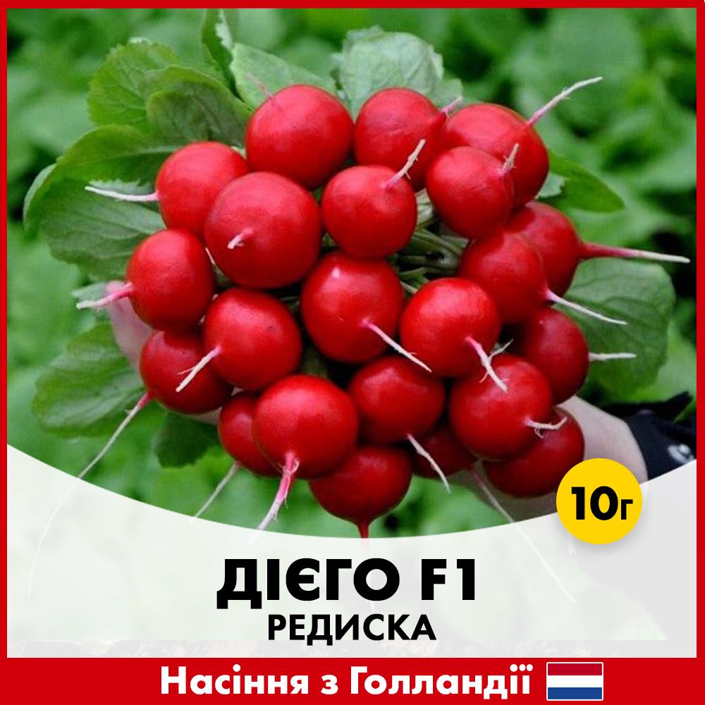 Семена редиса Hazera Диего F1 10 г (00195-10)
