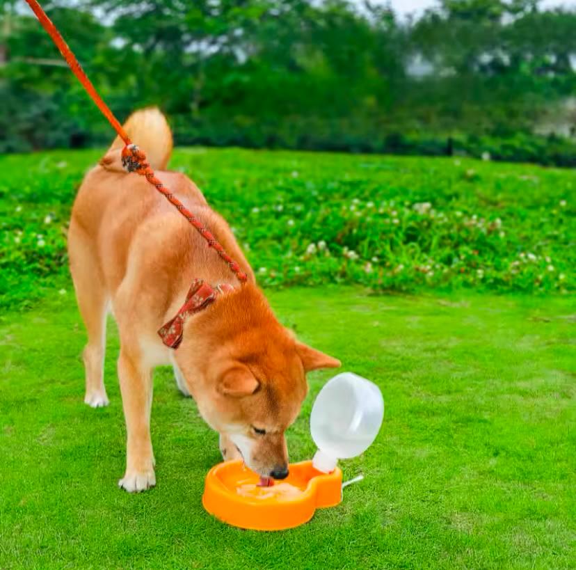 Поїлка для собак дорожня 350 мл Помаранчевий (68aa11bc) - фото 6 Поїлка для собак дорожня 350 мл Помаранчевий (68aa11bc) - фото 6