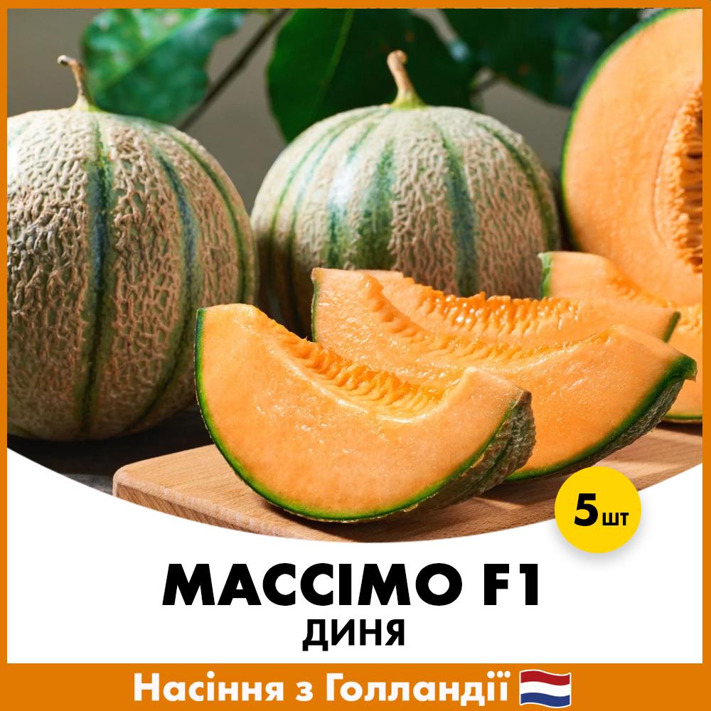 Семена дыни Syngenta Массимо F1 5 шт. (dms5)