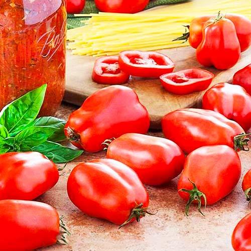 Семена Томат Florium Ред Хантер (17248)