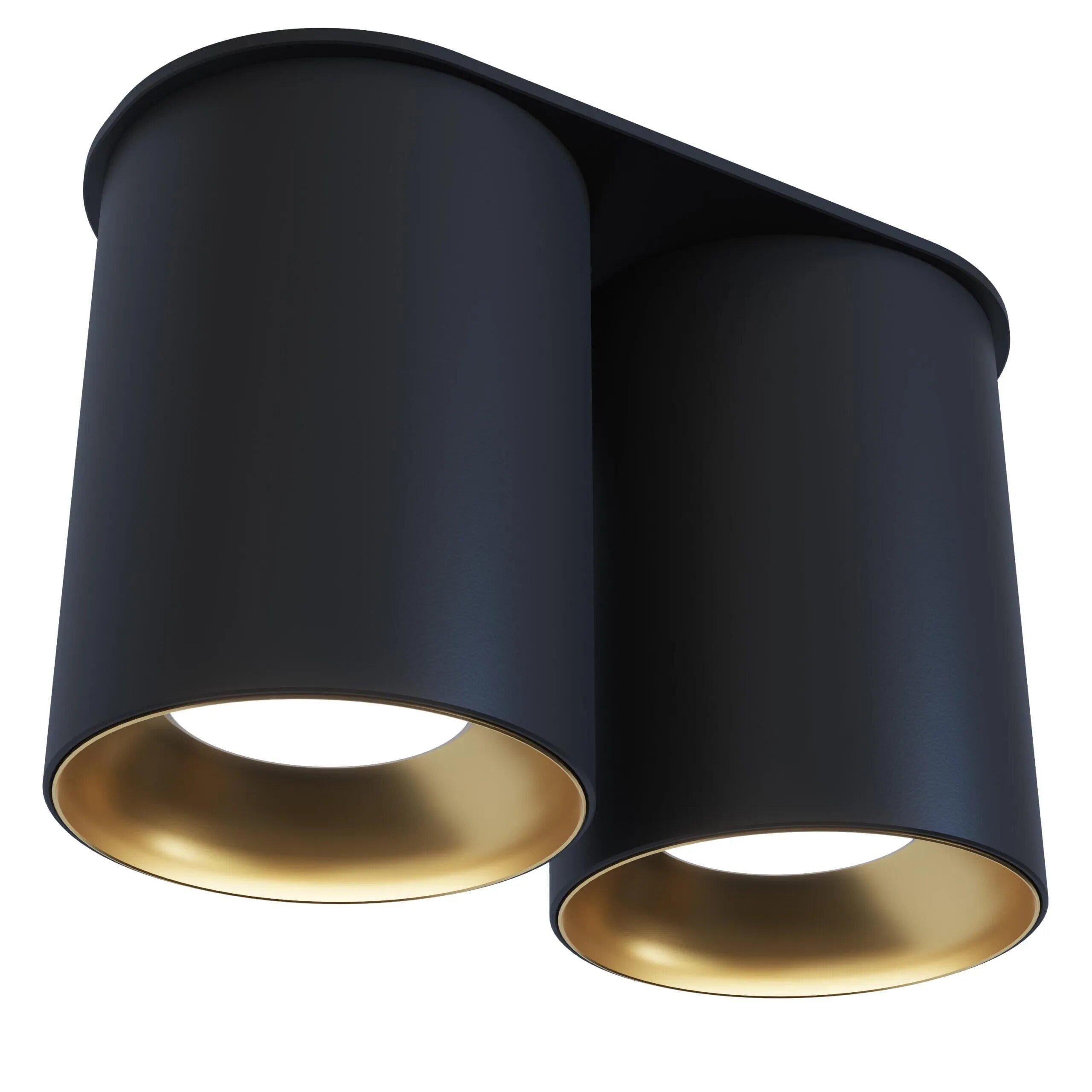 Светильник точечный Pikart Lights 29700-2 BP 80