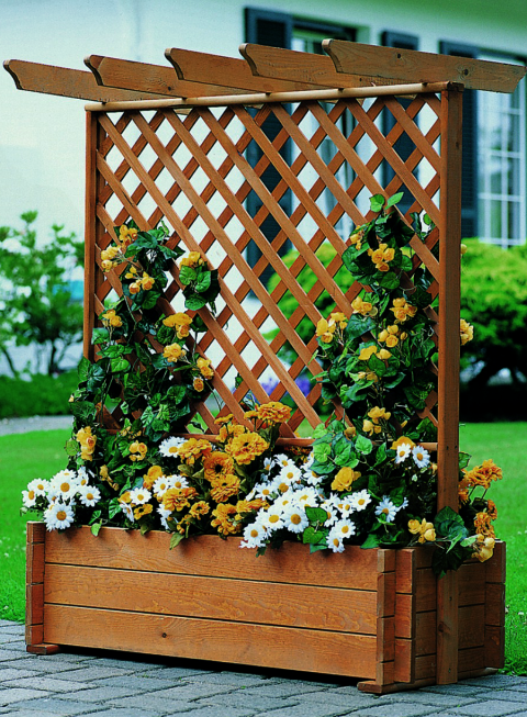 Кашпо со шпалерой из дерева Дагана Мускат (КШР-000107)