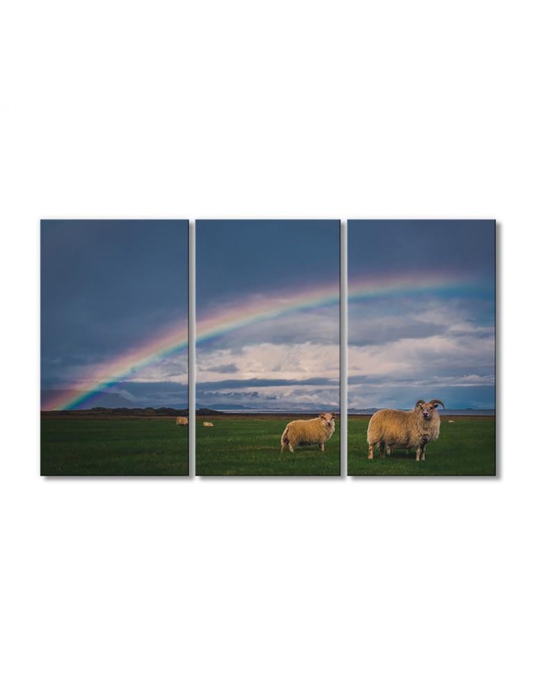 Картина модульная Радуга бараны на поле 3 модуля 50x75 см