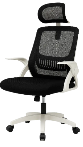 Кресло Diego ErgoFlex сетка Бело-черный Кресло Diego ErgoFlex сетка Бело-черный