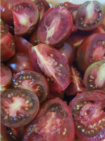 Семена помидоров Черный принц 30 шт. (2976538333)