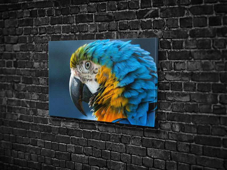 Картина для интерьера Яркий попугай 120x80 см (627
