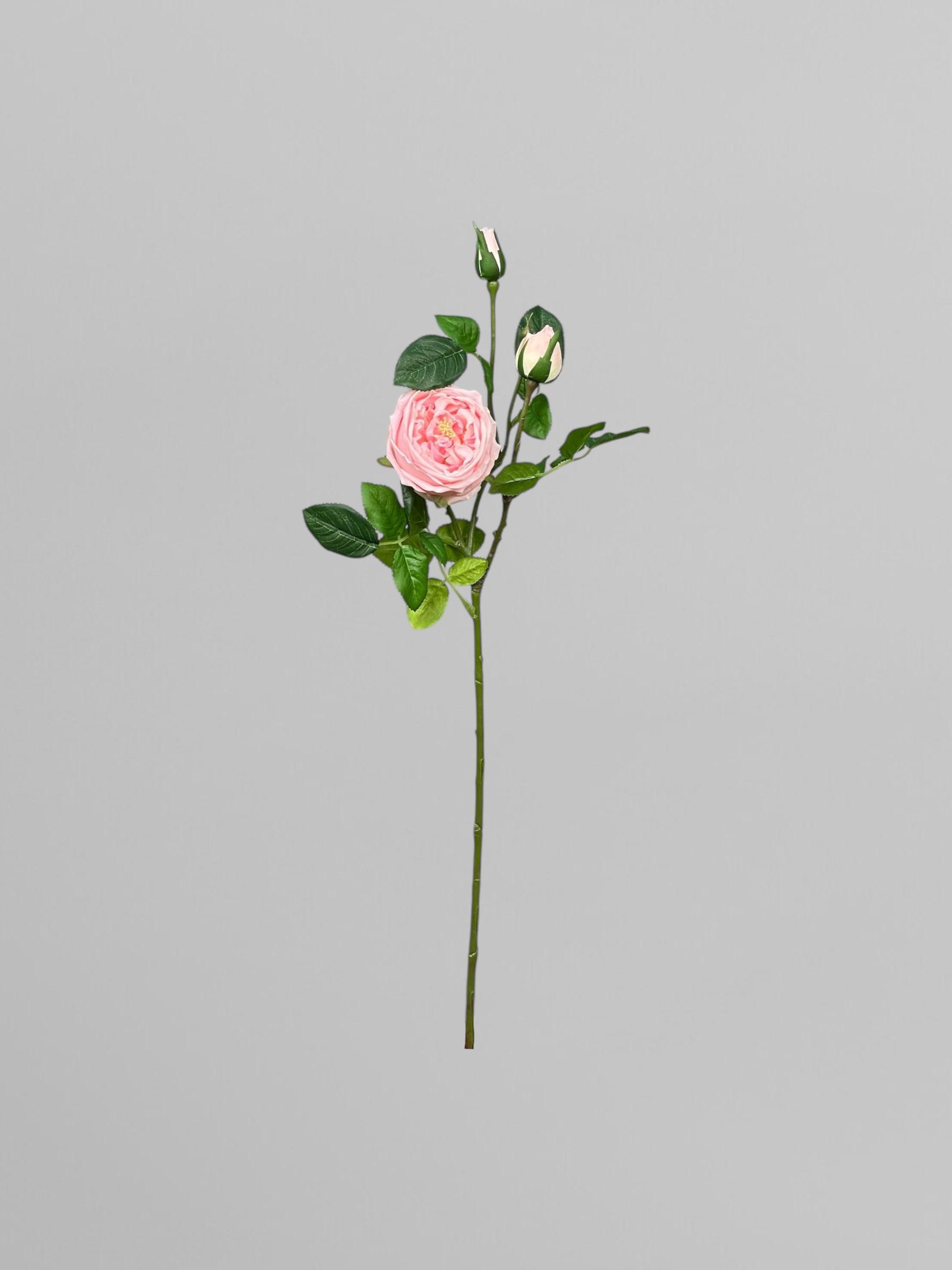 Искусственная английская роза Дэвида Остина 72 см Розовый (К02036) - фото 2 Искусственная английская роза Дэвида Остина 72 см Розовый (К02036) - фото 2