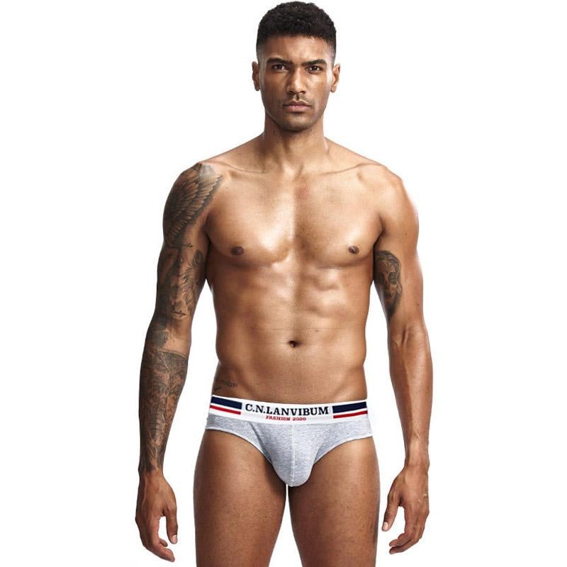 Трусы Lanvibum XL Серый (SP7445)