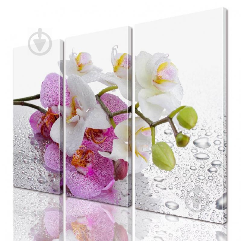 Модульная картина ArtStar цветы Орхидея ADFL0152 размер 150 х 180 см