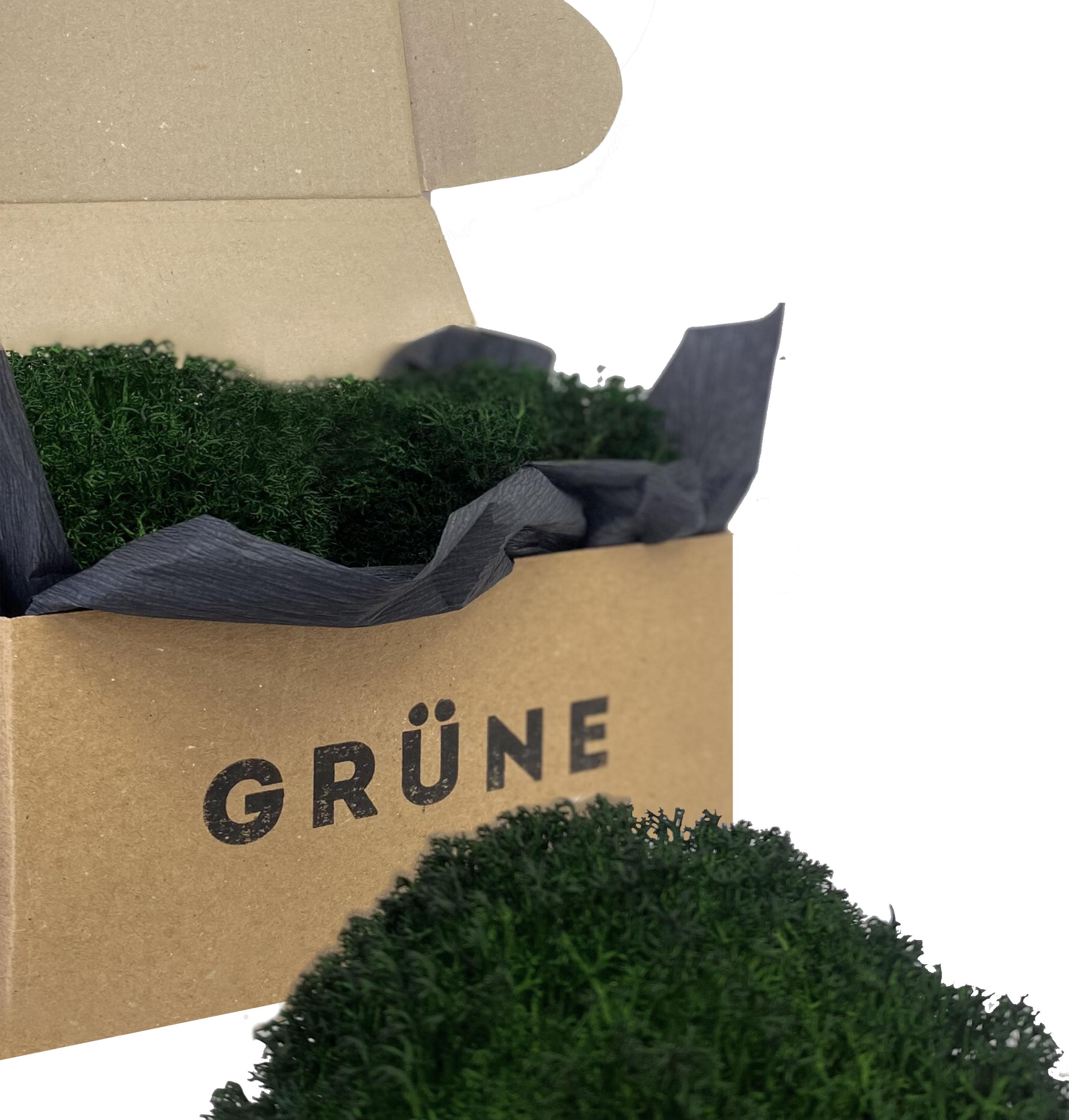 ᐉ Мох Grune Wald ягель стабілізований 100 г (3100) • Краща ціна в Києві ...