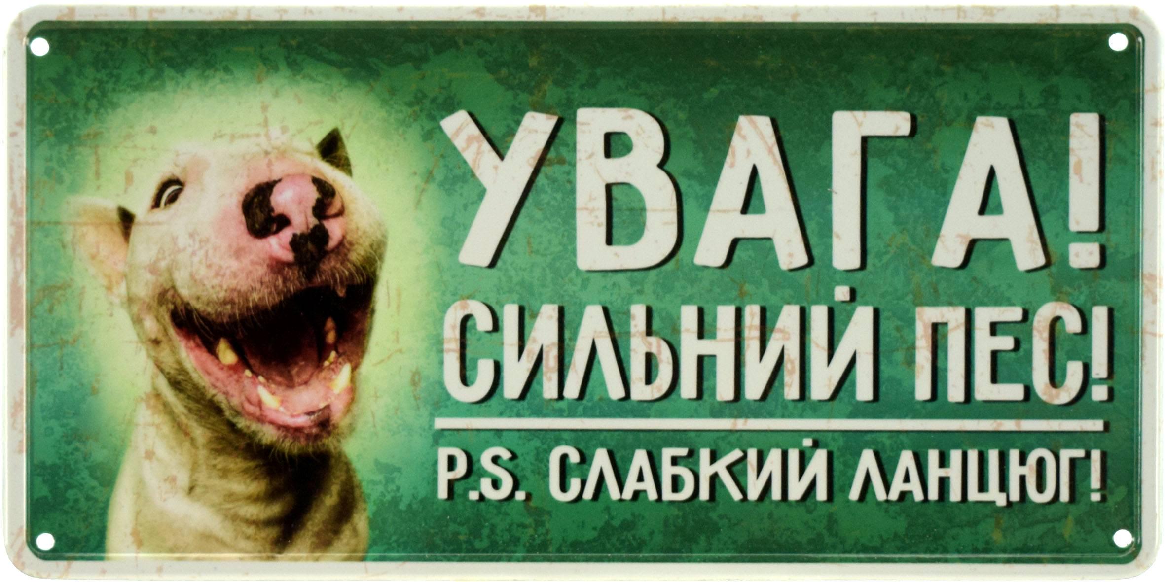 Табличка металлическая Увага! Сильний Пес! PS Слабкий Ланцюг! 15x30 см