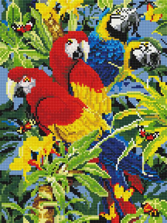 Алмазная мозаика Никитошка Красочные ара 30x40 см (EJ299)