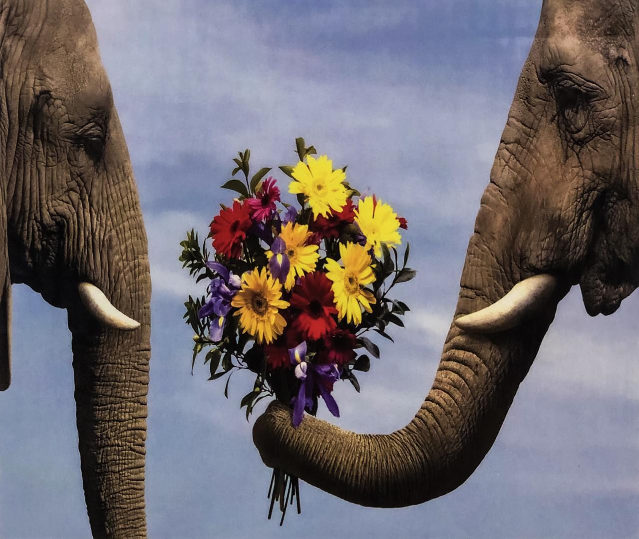 Набор алмазной вышивки на подрамнике Слоны 50x40 см (АЛП-138)