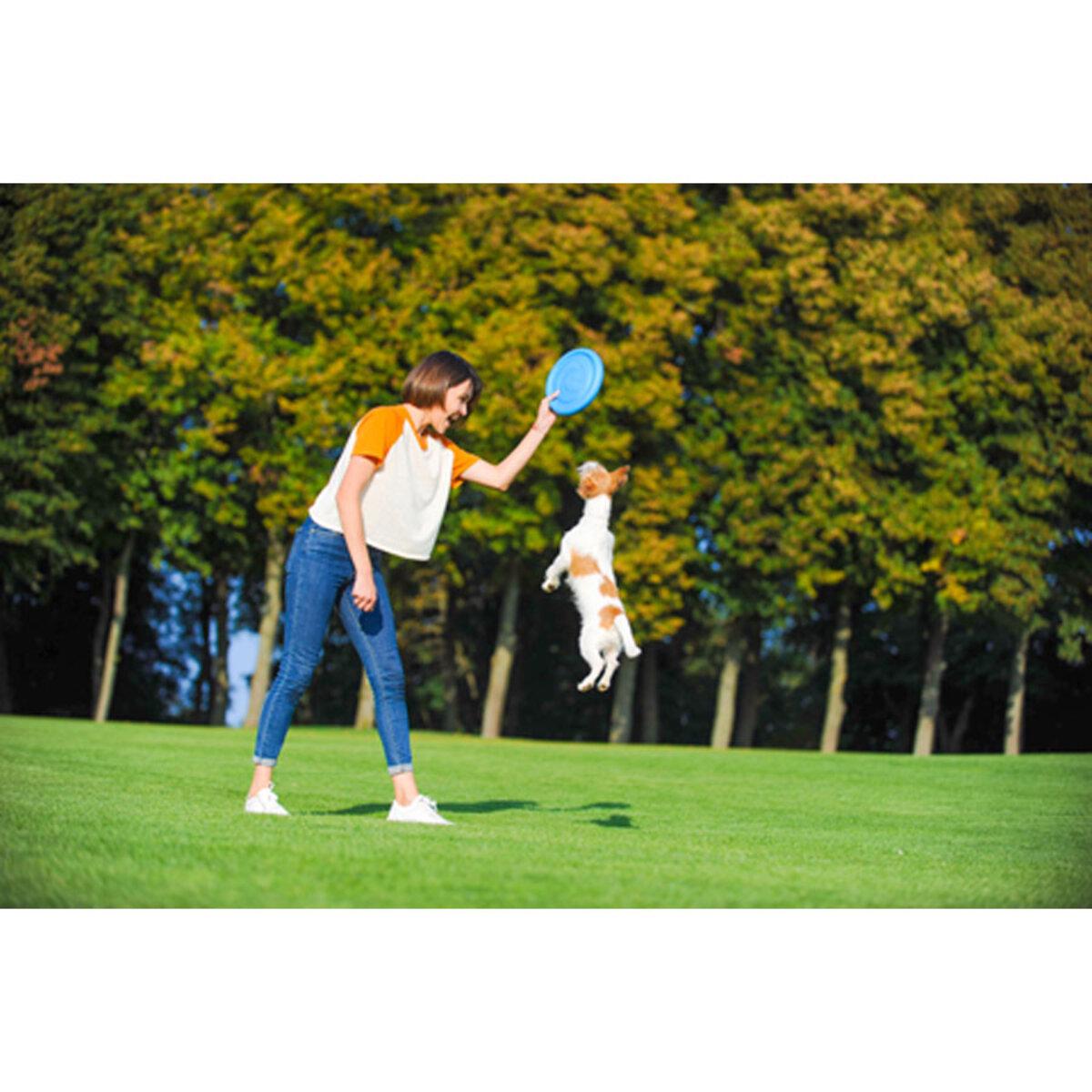 Ігрова тарілка для апортировки PitchDog D 24 см Блакитний (25881037) - фото 6