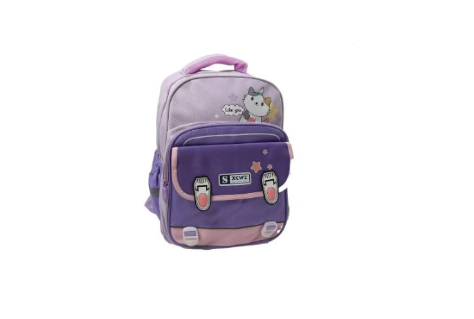 Рюкзак школьный детский 2 отделения светоотражающие элементы Фиолетовый (C 72909)
