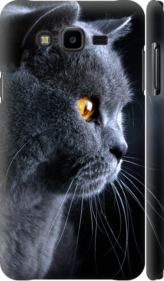 Чехол на Samsung Galaxy J7 Neo J701F Красивый кот (3038m-1402-42517)