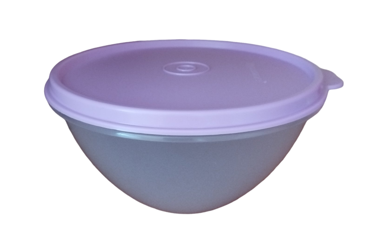 Пищевой контейнер-чаша Tupperware Брауни 600 мл (36228813)