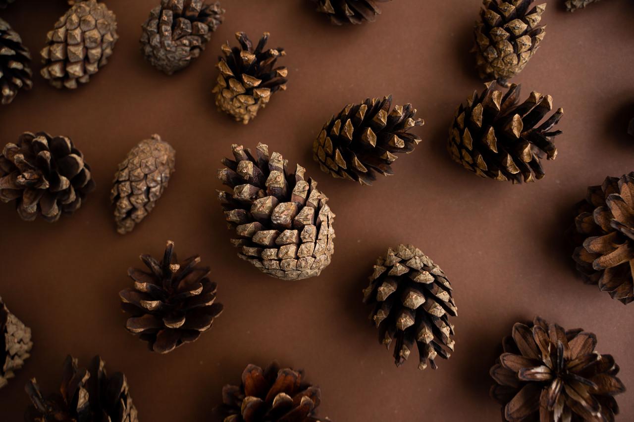 Шишки соснові декоративні 500 г (PC-S) - фото 4 Шишки соснові декоративні 500 г (PC-S) - фото 4