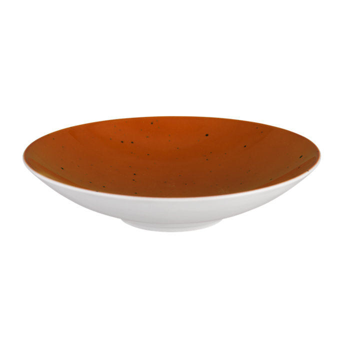 Піала Seltmann Weiden Coup Fine Dining Country Life 23 см Terracotta (33556251)