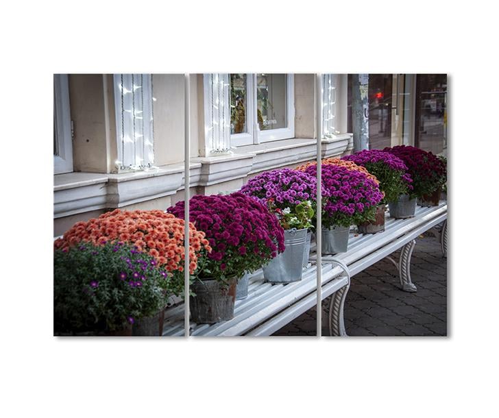 Картина модульная Вазоны под окном 3 модуля 120x180 см