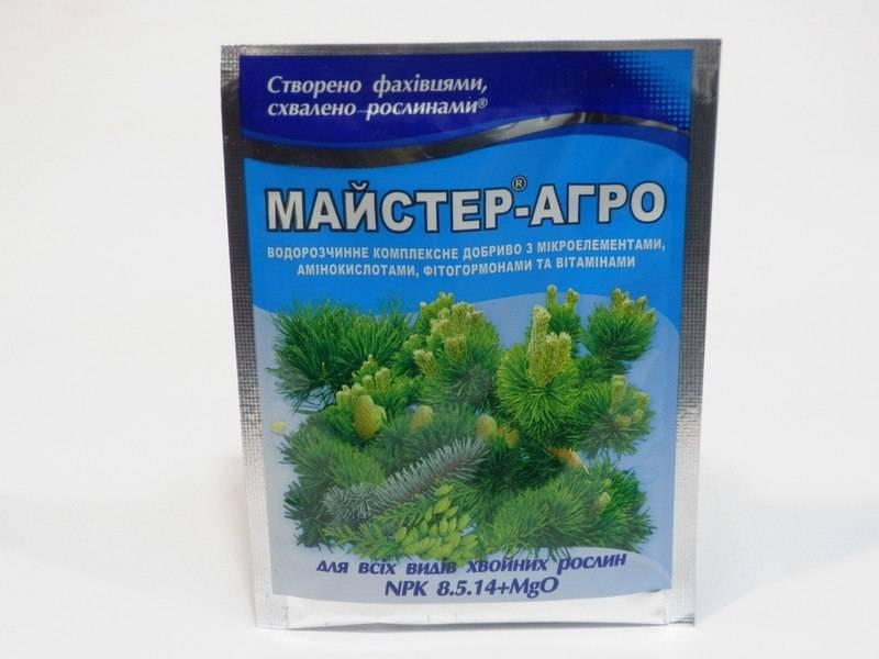 Удобрение Насіння країни Мастер-Агро для хвойных 25 г (4820060631091)