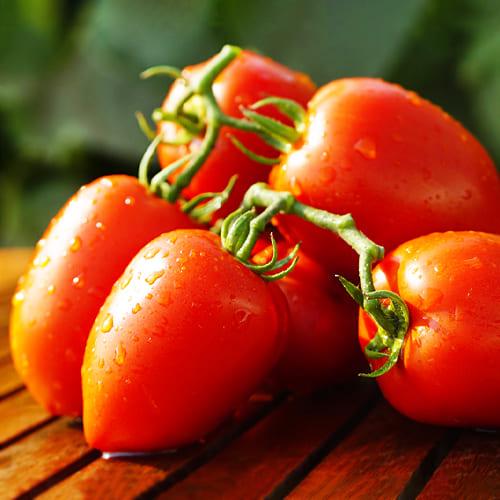 Семена Томат Florium Діно F1 (15919)