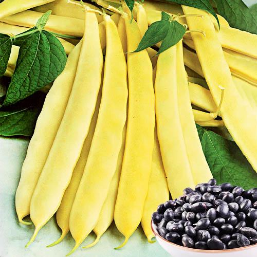 Насіння Квасоля Florium Файний Ясь пакет гігант (14638)