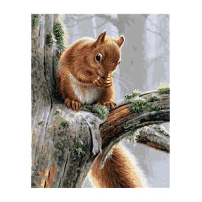 Картина по номерам Strateg Животные Белочка на ветке в термопакете 40х50 см (VA-1635-mt)