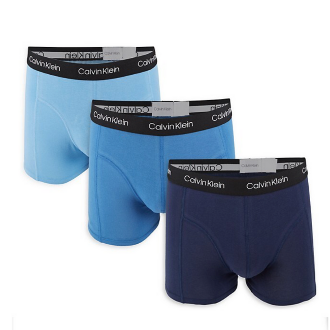 Мужские трусы Calvin Klein L 3 шт. (1731-2019)