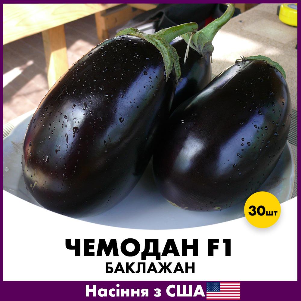 Семена баклажана Spark Seeds Чемодан F1 30 шт. (jkl18-30)