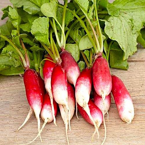 Семена Редіс Florium на стрічці Французький сніданок 5м (18354) - фото 2 Семена Редіс Florium на стрічці Французький сніданок 5м (18354) - фото 2