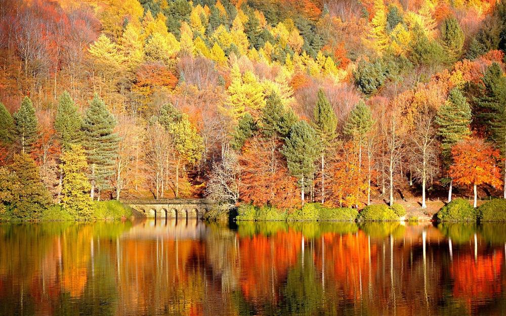 Картина Природа PR092 35х55 см