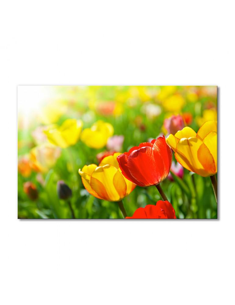 Картина модульная Полевые тюльпанчики 1 модуль 80x120 см