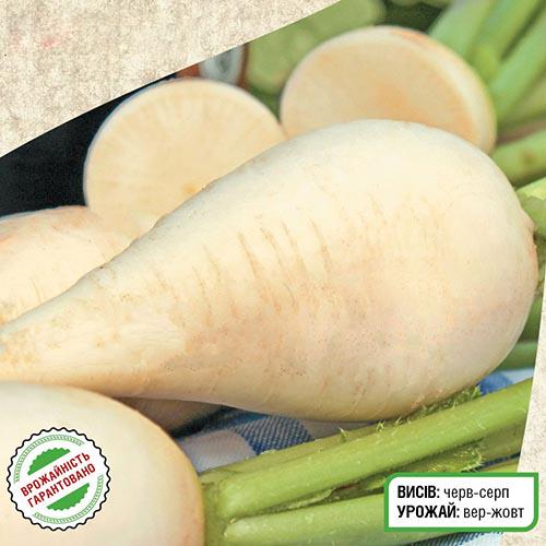 Насіння Редька Florium Мюнхенське Пиво (10135) - фото 2 Насіння Редька Florium Мюнхенське Пиво (10135) - фото 2