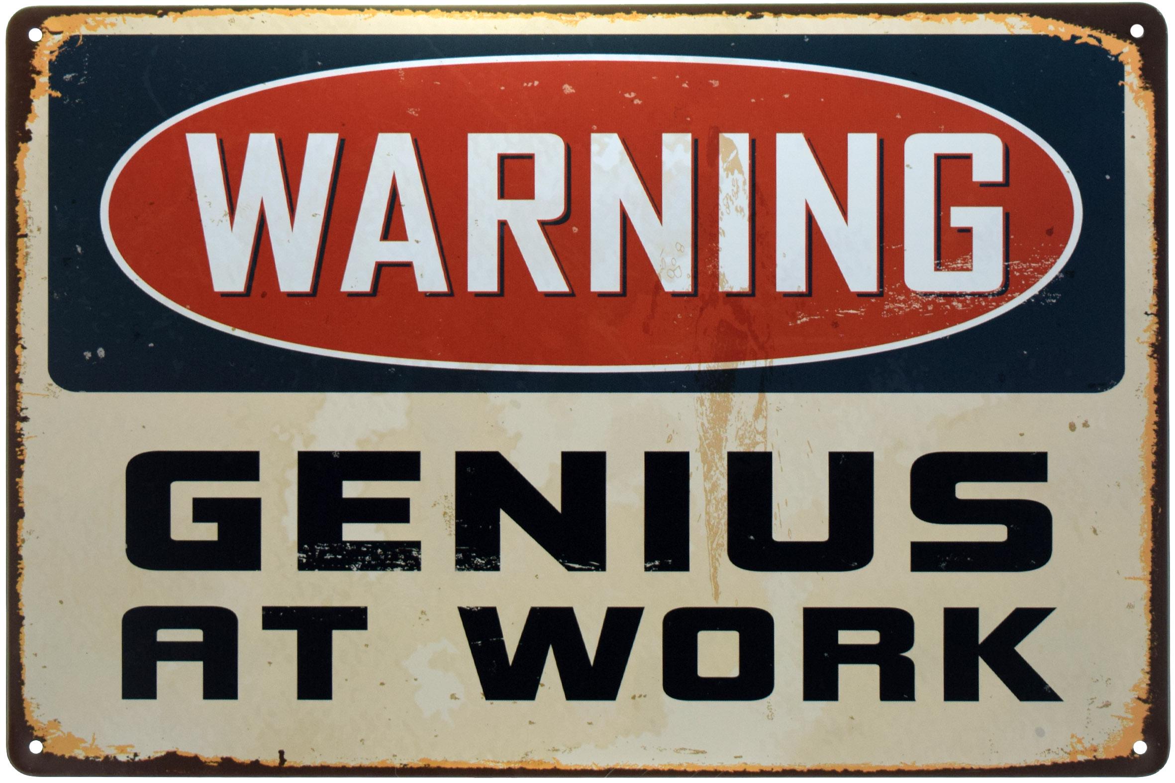 Табличка металлическая Гений За Работой/Genius At Work 20x30 см