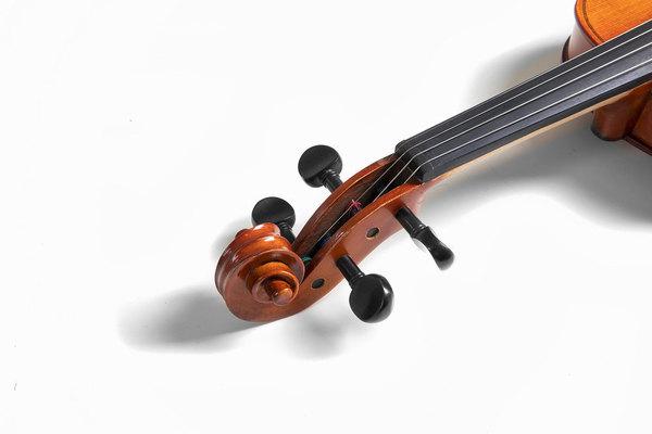 Скрипковий комплект GEWApure EW 4/4 - фото 4 Скрипковий комплект GEWApure EW 4/4 - фото 4