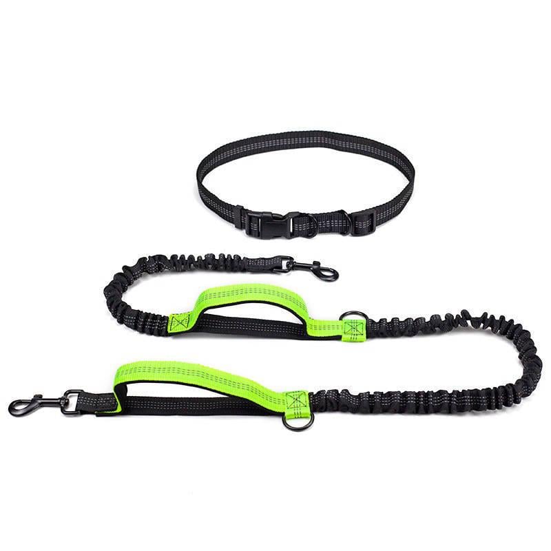Поводок-пояс собачий Harness 160-260 см для бега с собакой Зелений (1715349946)