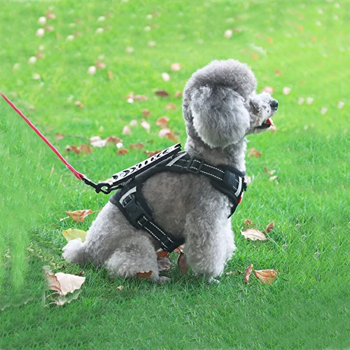 Шлейка анатомическая для собаки C00447-4 со светоотражающими полосами М 7-12,5 кг Черный - фото 2 Шлейка анатомическая для собаки C00447-4 со светоотражающими полосами М 7-12,5 кг Черный - фото 2