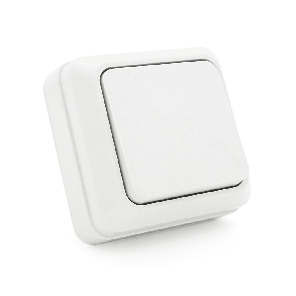 Выключатель наружного монтажа одинарный VOLTRONIC Q10 Белый (25624706)