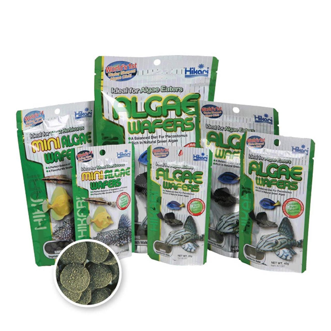 Корм донный Hikari Tropical Algae Wafers для растительноядных сомов анциструс 12+ см/диски 15-20 мм/20 г тонущий (21302) - фото 3 Корм донный Hikari Tropical Algae Wafers для растительноядных сомов анциструс 12+ см/диски 15-20 мм/20 г тонущий (21302) - фото 3