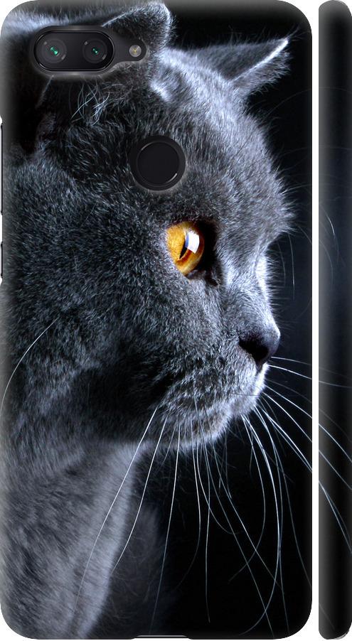 Чехол на Xiaomi Mi 8 Lite Красивый кот (3038m-1585-42517) Чехол на Xiaomi Mi 8 Lite Красивый кот (3038m-1585-42517)