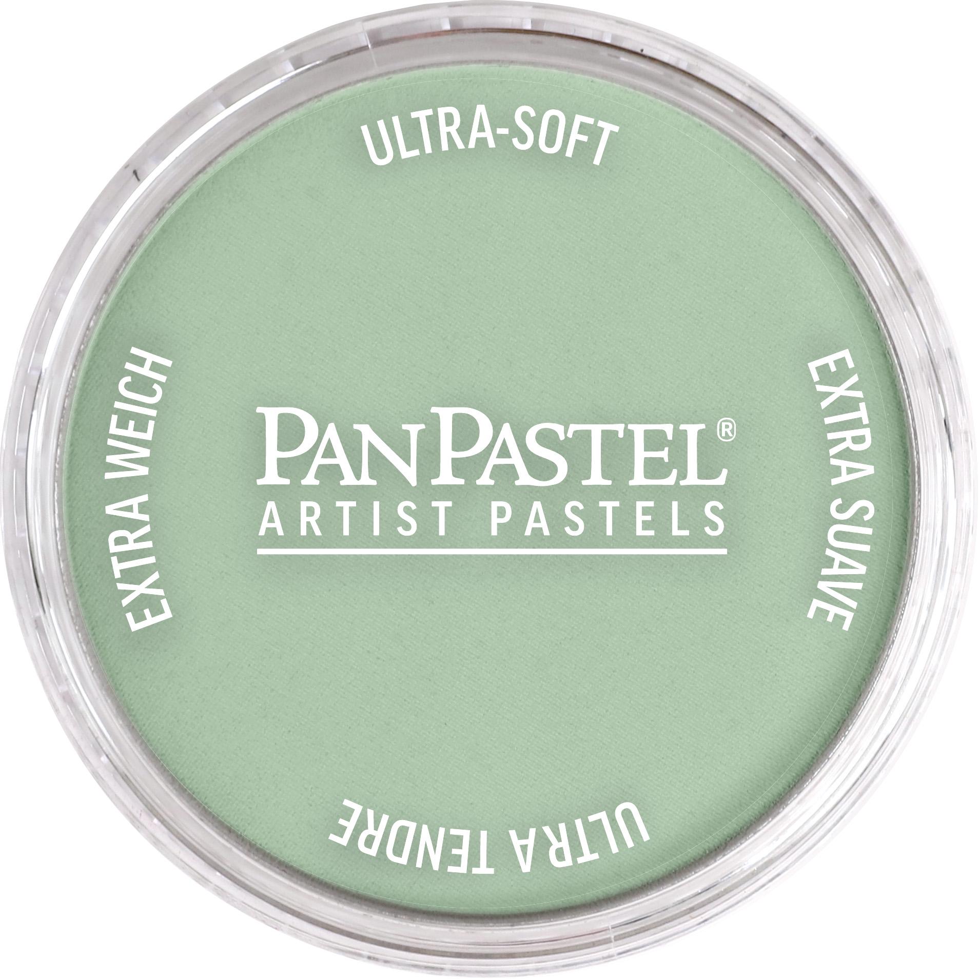 Пастель художня PanPastel 660.8 Chromium Oxide Green Tint 9 мл (28769471)