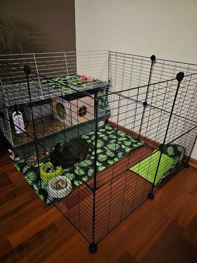 Клітка для гризунів 46х143х73 см - фото 16 Клітка для гризунів 46х143х73 см - фото 16