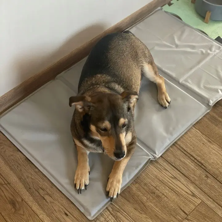 Коврик-кровать для животных охлаждающий Purlov 25531 г. 9 (25531) - фото 8 Коврик-кровать для животных охлаждающий Purlov 25531 г. 9 (25531) - фото 8