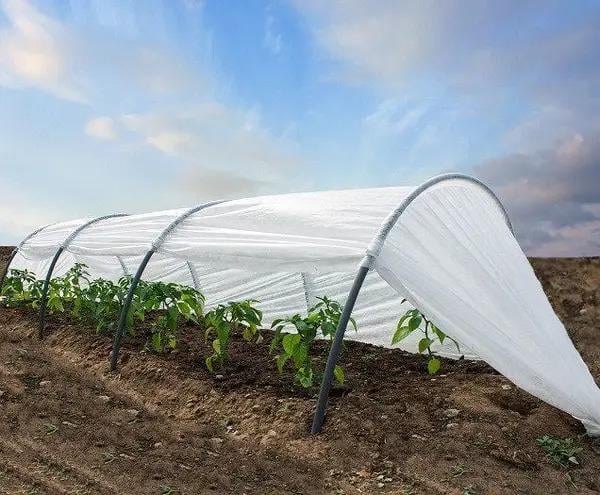 Теплица из агроволокна MAKSIAGRO 4м 50/м2 - фото 6 Теплица из агроволокна MAKSIAGRO 4м 50/м2 - фото 6