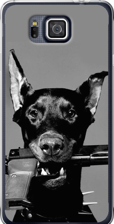 Чехол на Samsung Galaxy Alpha G850F Доберман (2745u-65-42517)