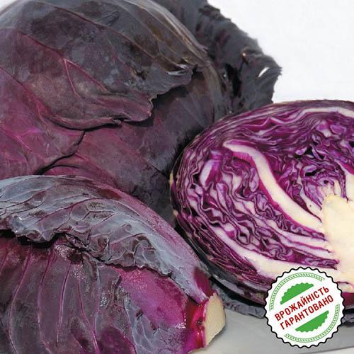 Семена Капуста Florium Червонокачанна Рескью F1 для зберігання (6305) - фото 2