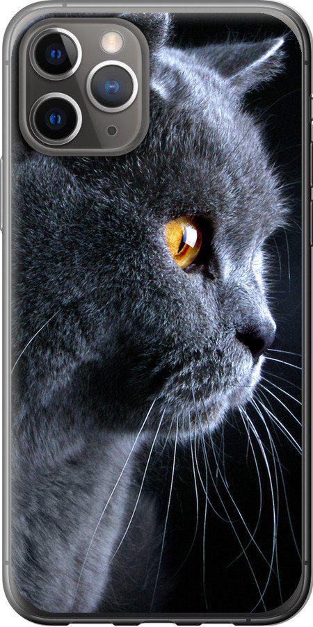 Чехол на iPhone 11 Pro Красивый кот (3038u-1788-42517)
