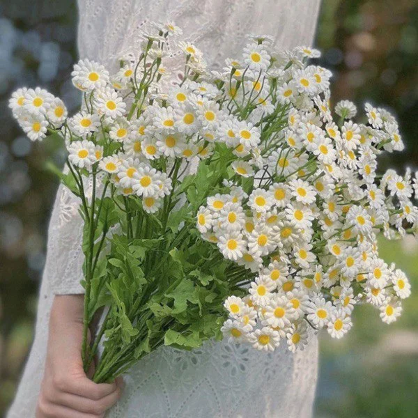 Искусственные цветы для декора Ромашки из пяти веток (C00688-1) - фото 2 Искусственные цветы для декора Ромашки из пяти веток (C00688-1) - фото 2